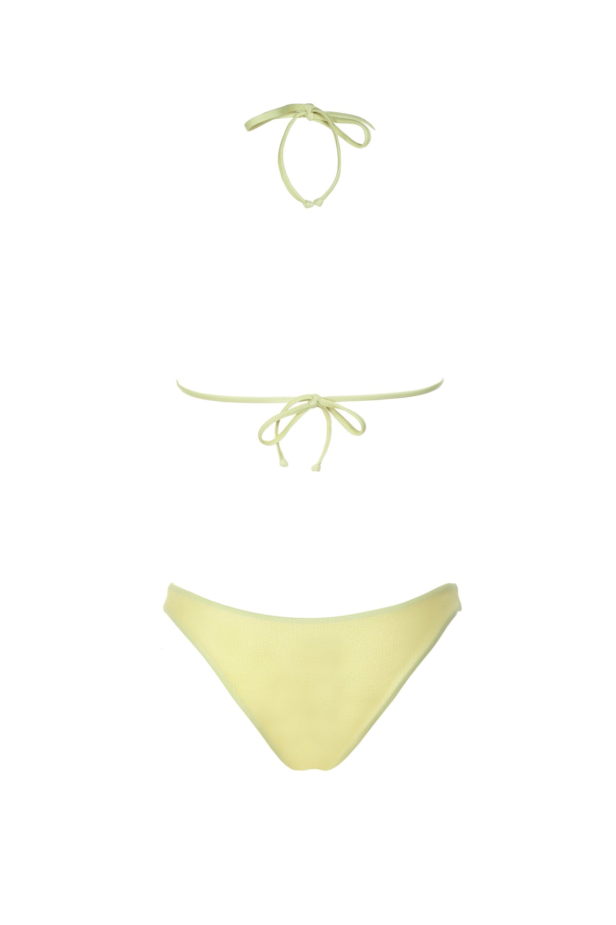 Triangolo Naja Giallo
